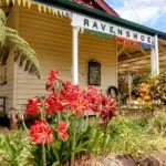 Ravenshoe - Why You Should Visit Ravenshoe