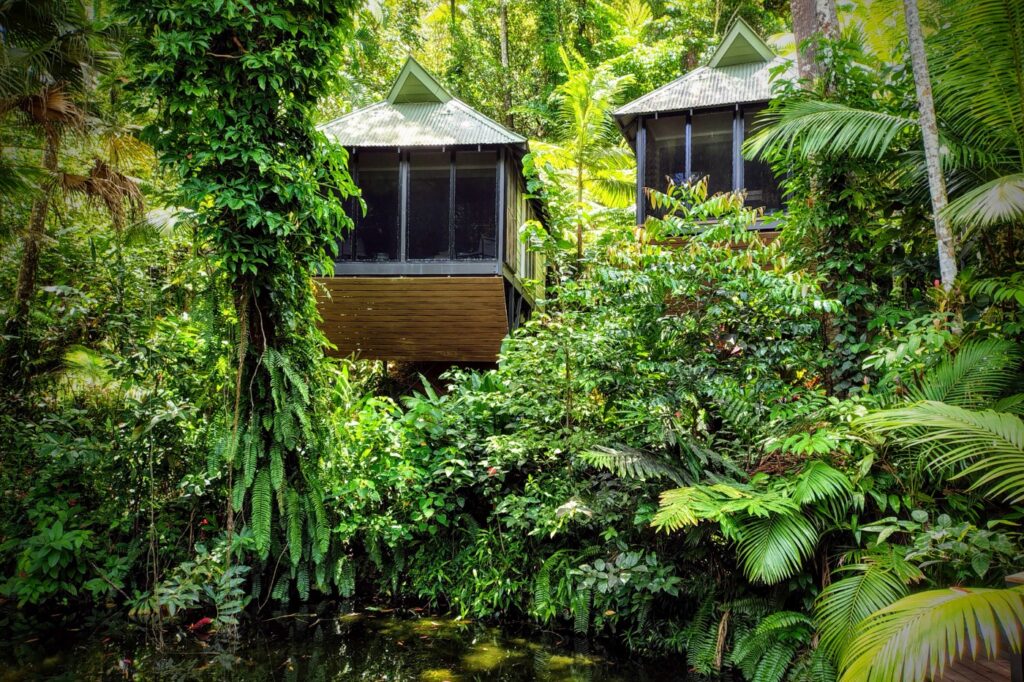 Daintree Eco Lodge rooms Australia